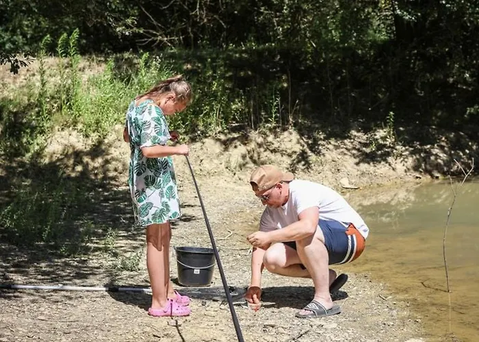 Mobil-home 2 Avec Terrasse - Api-1-52-456 *